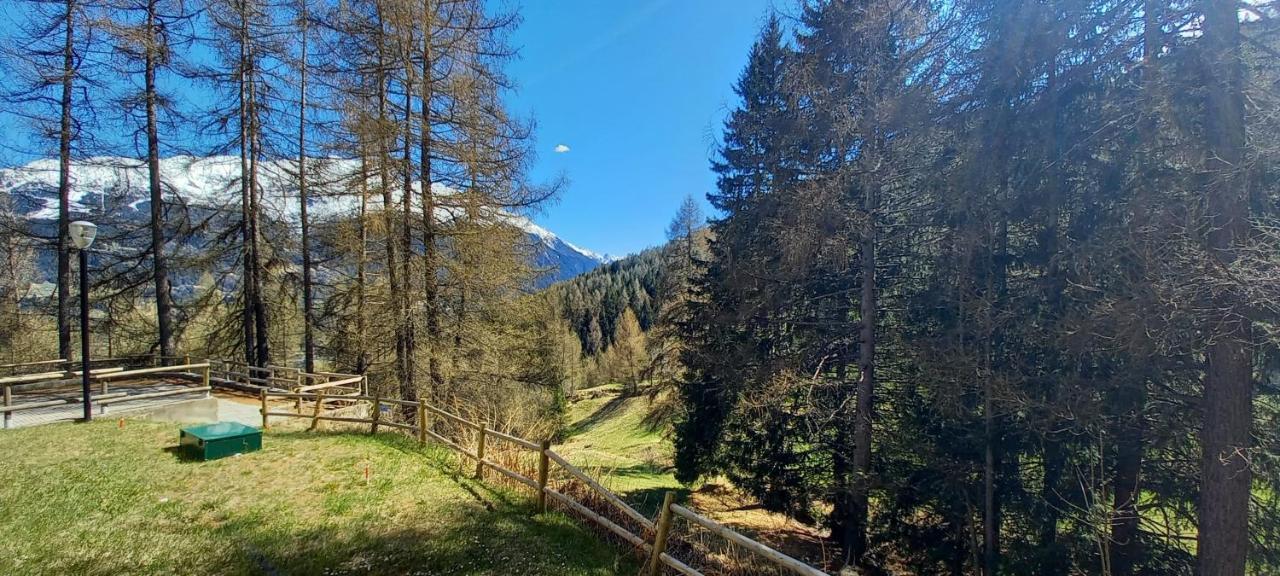 Stelviostay Residence Stelvio Valdisotto Eksteriør bilde